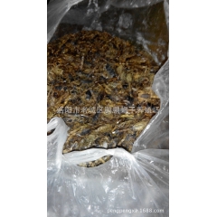 鹏鹏蝎业,,长年大量收购野生蝎子