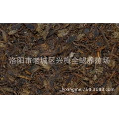 收购河南 河北 山东 陕西 山西等地野生蝎子