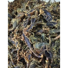 批发清水干蝎子，活血化瘀接骨驱疯，保质保量，价格1350元。
