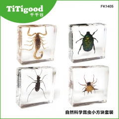 昆虫标本套装-儿童科学益智玩具（黄蝎子、角蜘蛛、虎甲）