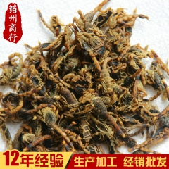 供应中药材全蝎  野生全虫蝎子 名贵中药材