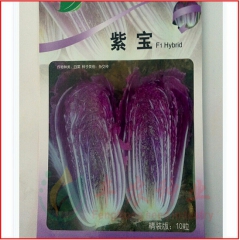 韩国引进紫白菜 紫宝大白菜 紫红叶片白菜 早熟口感 100粒