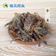 褔卫药业批发中药材全虫 蝎子 清水全蝎质量保障物美价廉500...