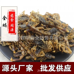 批发中药盐水全蝎 全虫 蝎子 另有清水全蝎 另有清水全蝎