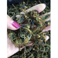中药材批发小个清水全蝎 动物原药材全虫蝎子 蝎子养殖场