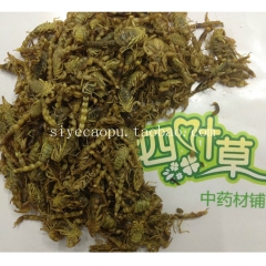 中药材批发 盐水 全蝎子 全虫