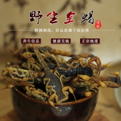 蝎子 中药材批发野生优质全虫 清水全蝎 量大从优产地直销 全...