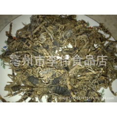 批发中药材 蝎子 滋补养生全虫  清水