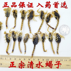批发中药材 蝎子 全虫 清水蝎子干 支持药检 正品保证