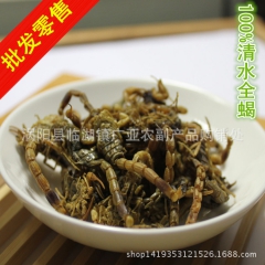 中药材批发 清水 全蝎 动物原药材 蝎子 全虫 支持药检