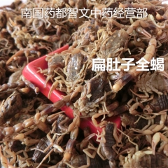 中药材批发零售 全蝎 全虫 清水钳蝎子 100g