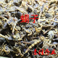 批发 蝎子 全蝎 全虫 支持各 大药房 诊所 验货 检测