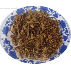 批发供应动物原药材蝎子