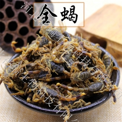 批发十足全蝎  蝎子 清水全蝎  全蝎 药食两用 蝎子