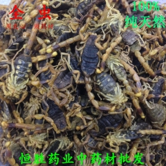 中药材批发蝎子 全虫 动物原药材纯野生全蝎