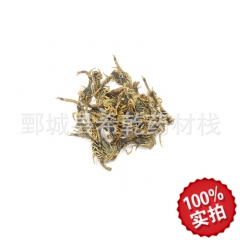 批发养生保健 中药材 全虫 全蝎 蝎子 品种齐全 质量保证