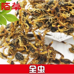 全虫 蝎子 新货上市，淡盐 中个 肚子瘪无加重 干度9成50...