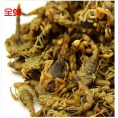 t33中药材批发全蝎 蝎子 全虫