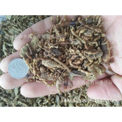 实物拍摄 纯干新疆野生全蝎子 全虫 包检测包含量