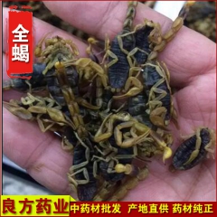 f220批发 蝎子 全蝎 中药材批发 蝎子干 全虫 价格优惠