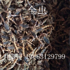 产地直销批发蝎子干   清水全虫       蝎子   盐水...