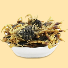 批发中药材蝎子 清水全蝎 全虫 蝎子干批发
