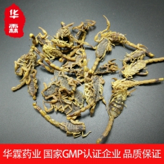 华霖药业厂家批发中药材全蝎干 蝎子 全虫 全蝎中药