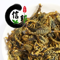 全虫 蝎子 新货优质中个全瘪、淡盐全虫、蝎子、全蝎