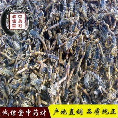 c251产地直销清水全虫，蝎子，全蝎