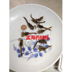 【批发供应各类中药材】全蝎 清水蝎子 野生全虫  新货出售