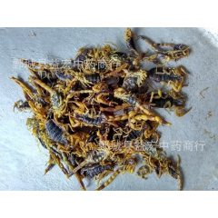 厂家直销 中药材批发 清水全蝎 动物原药材 蝎子 全虫 活血...