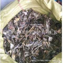 经销批发 中药批发 蟾蜍 蟾蜍干 蟾蜍个 蟾蜍皮