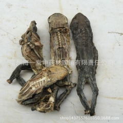 中药材批发 优质蟾蜍 蟾蜍干 蟾蜍个 蟾蜍皮  量大从优