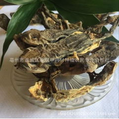 供应蟾蜍 蟾蜍干 各种规格 量大从优