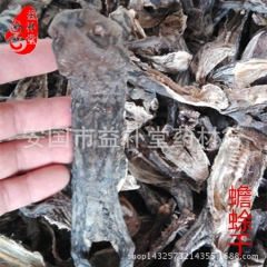 蟾蜍 (干）益补堂供应中药材，免费打粉，三公斤包邮