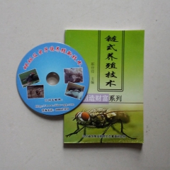 蝇蛆、苍蝇、虫子鸡、虫子鸡蛋等链式养殖全套技术