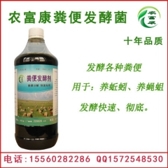新鲜的湿猪粪养蚯蚓行不行？怎么养猪粪发酵养蝇蛆