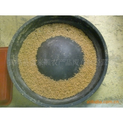 供应广西产养殖石斑鱼用高蛋白保健活体饲料蝇蛆 蝇蛆批发