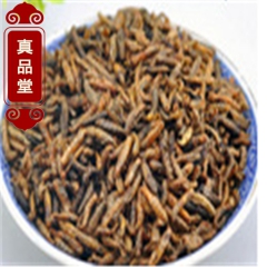 t12药用五谷虫 已炙 又名:水仙子,无谷虫,蝇蛆 正规流程...