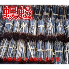 蜈蚣 干燥 整条 物美价廉 百足虫 千足虫 专业批发零售 冲...