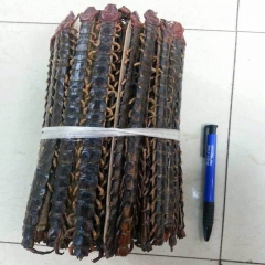 批发特大足20公分蜈蚣 动物原药村 蜈蚣20公分 百足虫 干...