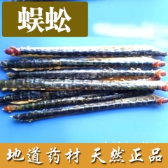热销 干品蜈蚣 野生干蜈蚣药材批发价格