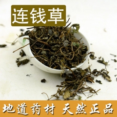 批量热销 连钱草 神仙对坐草 地蜈蚣、蜈蚣草、铜钱草、野花生