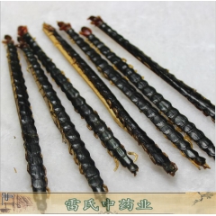 批发蜈蚣足13公分大蜈蚣 干燥无断条蜈蚣干 动物原药材 蜈蚣
