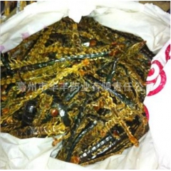 供应高品质 优质中药材 蜈蚣 蜈蚣皮 大条蜈蚣 选