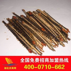 批发优质野生干蜈蚣 15cm干蜈蚣 中药蜈蚣 回收产品 量大...