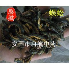 中药材批发 蜈蚣 公斤价