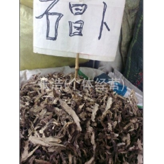 野生石菖蒲 石蜈蚣 剑叶菖蒲 剑草 野韭菜昌本 粉菖苦菖蒲原...