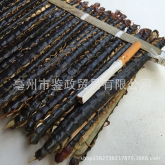 批发供应中药材 蜈蚣 红头金爪蜈蚣 长度17厘米左右