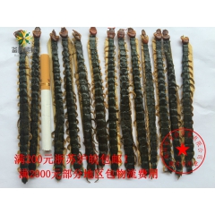 干品大蜈蚣  干蜈蚣 大条蜈蚣 药材批发价格 量大从优
